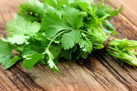 Smell of Cilantro-1