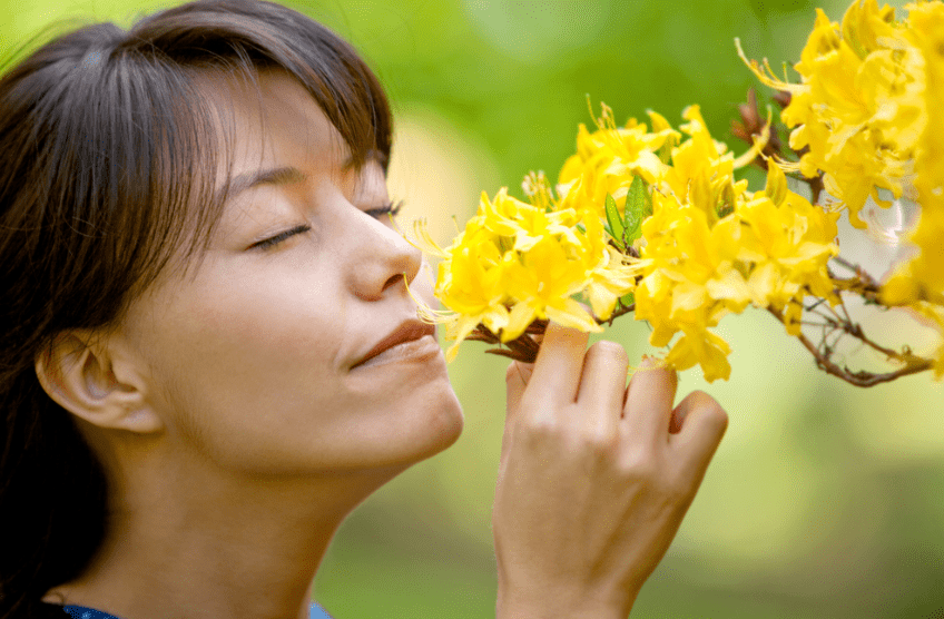 Do You Have A Poor Sense of Smell, Or Is Your Nose Simply Under-trained?